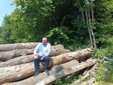 FOREST MANAGEMENT: Kako se u Hrvatskoj upravlja šumama i što donosi nova Uredba o deforestaciji?