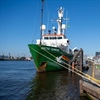 PULA: Legendarni Greenpeaceov brod Arctic Sunrise dolazi u Hrvatsku!