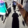 CRVENI ALARM: Ovisnost – bolest uma, tijela i društva