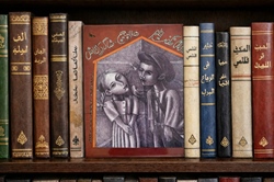 PUTOPIS: Pucnjevi na Hlapića