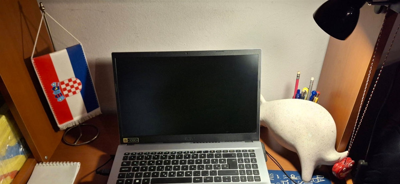 TRŽIŠTE RADA: Rad na daljinu kao novo radno pravo