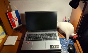 TRŽIŠTE RADA: Rad na daljinu kao novo radno pravo