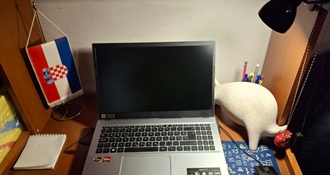 TRŽIŠTE RADA: Rad na daljinu kao novo radno pravo