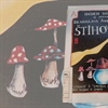 NONSENS POEZIJA: Što su to ,,ŠTIHOVI"?