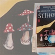 NONSENS POEZIJA: Što su to ,,ŠTIHOVI"?