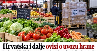 DOMAĆE JE DOMAĆE, ALI...