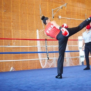 Demonstracija francuskog savate boksa