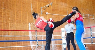 Demonstracija francuskog savate boksa