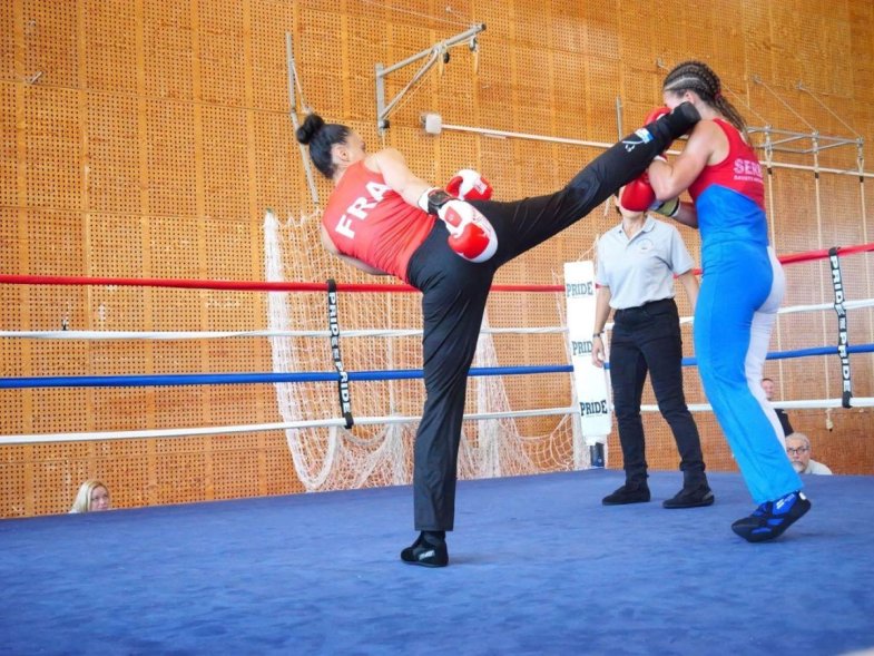 Demonstracija francuskog savate boksa